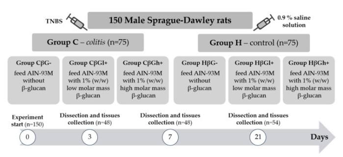 nutrients-13-00321-g001