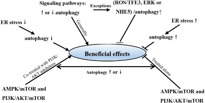 1-s2.0-S0753332221000718-gr5_lrg