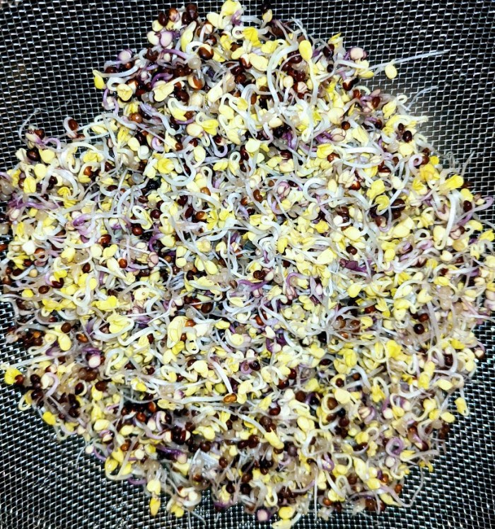 PXL_20210502_214348538