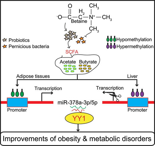 kgmi_a_1862612_f0005_oc