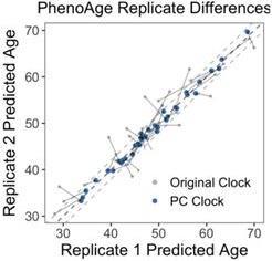 PCPhenoAge vs. PhenoAge