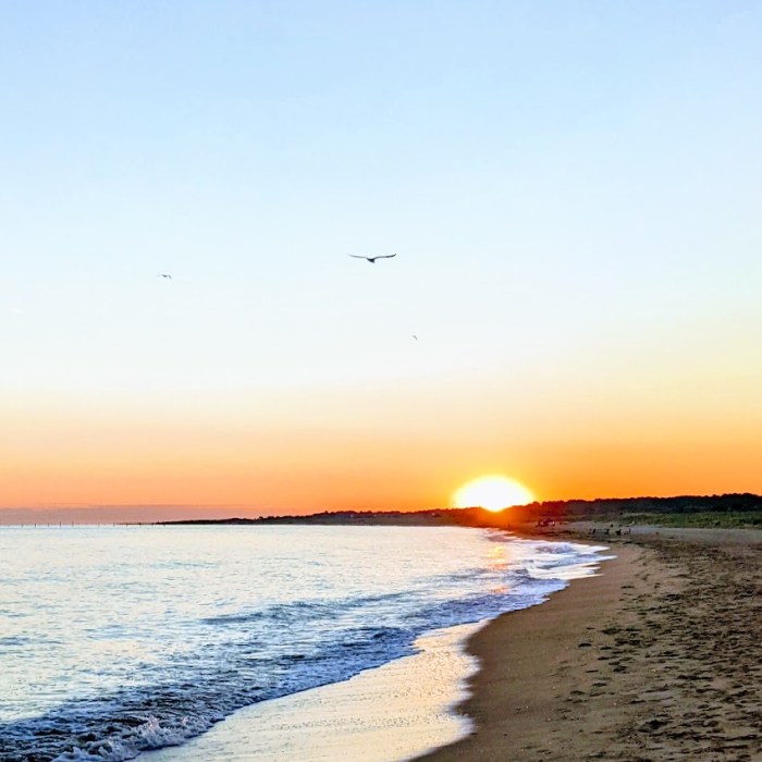 PXL_20210704_095621886