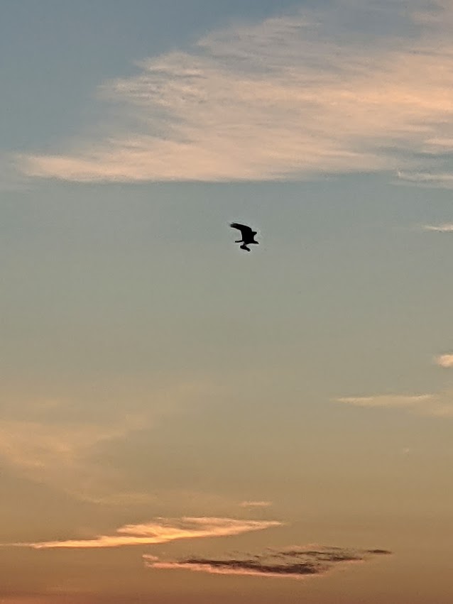 PXL_20210714_095056317