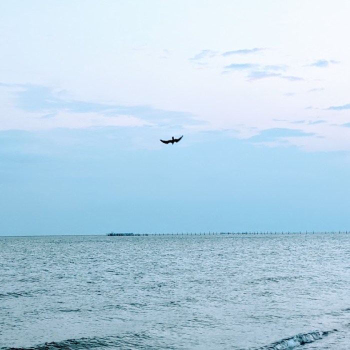 PXL_20210726_100524388