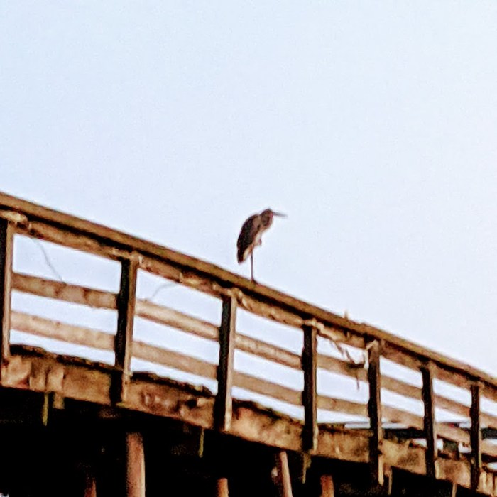 PXL_20210825_100930990