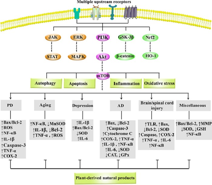 1-s2.0-S0944711321002075-ga1_lrg