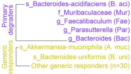 fiber degraders and responders
