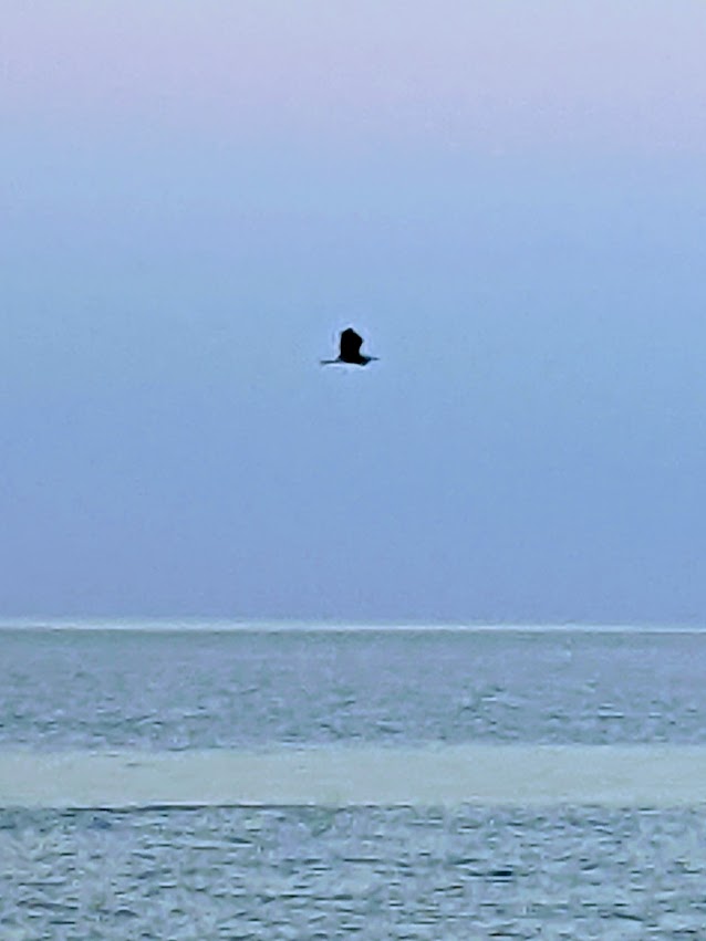 PXL_20210825_102832166