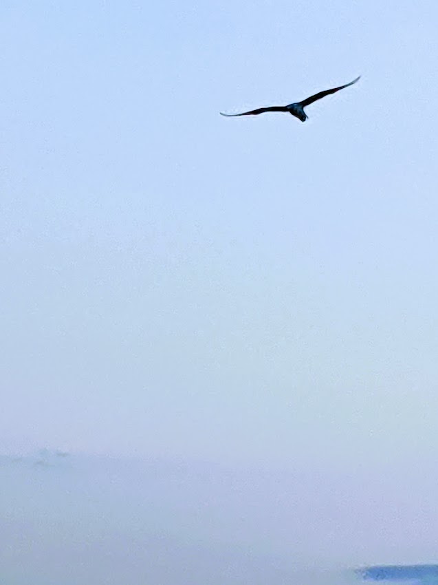 PXL_20210830_102958658