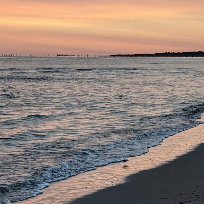 PXL_20210911_103344386