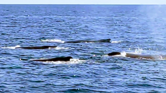 PXL_20210914_170732350_exported_43137