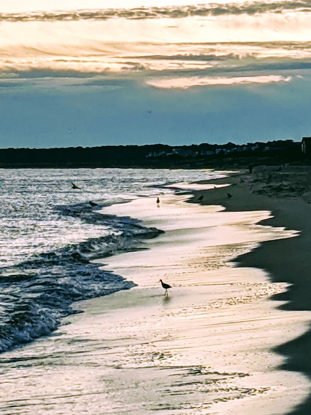 PXL_20211031_110852279