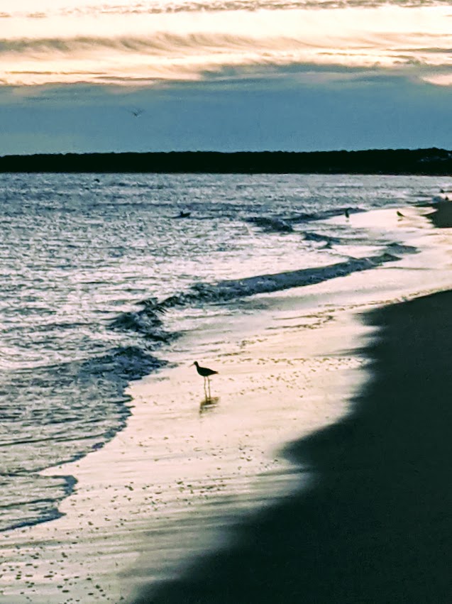 PXL_20211031_110903996