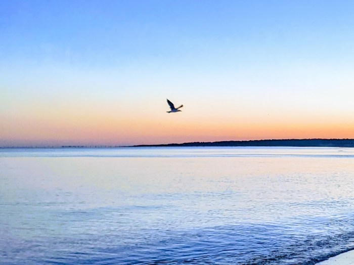 PXL_20211113_112252503