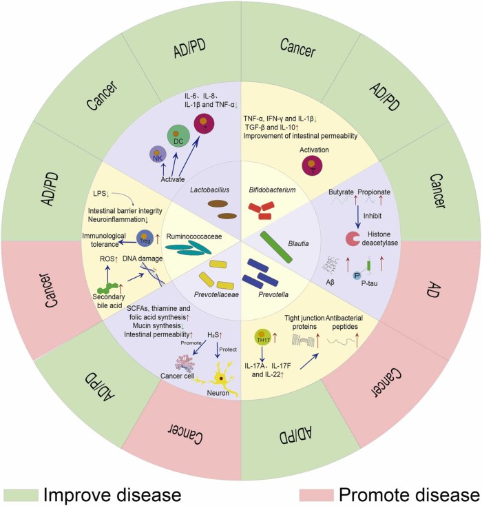 1-s2.0-S0753332221011276-gr1_lrg