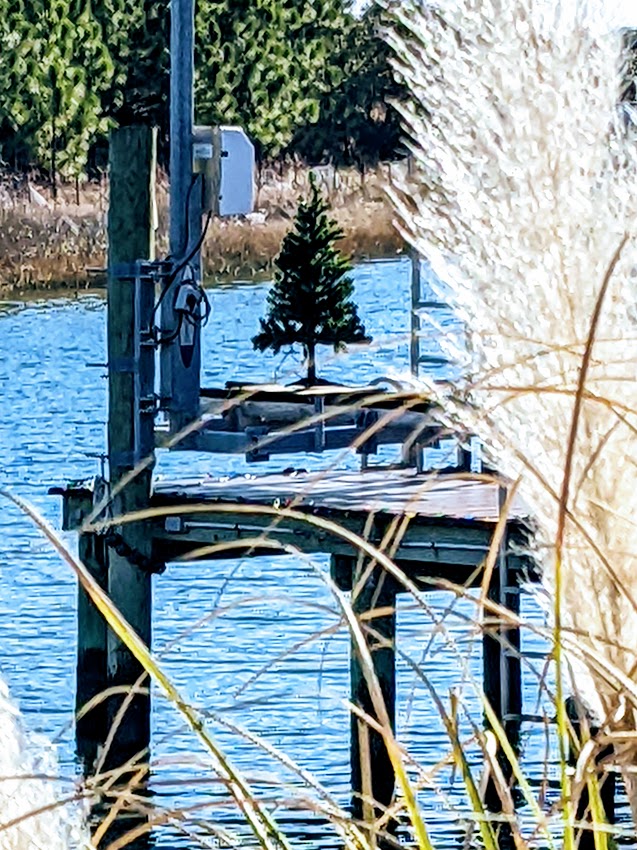 PXL_20211224_180111266