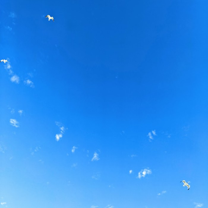 PXL_20211225_193439146