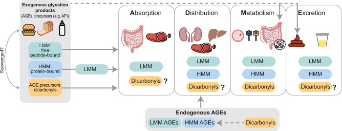 file:///D:/MYFILES/ELSEVIER/FCT/00112987/FINALXML/GRAPHICS/NATI