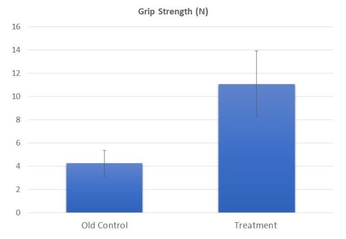 Grip+Strength
