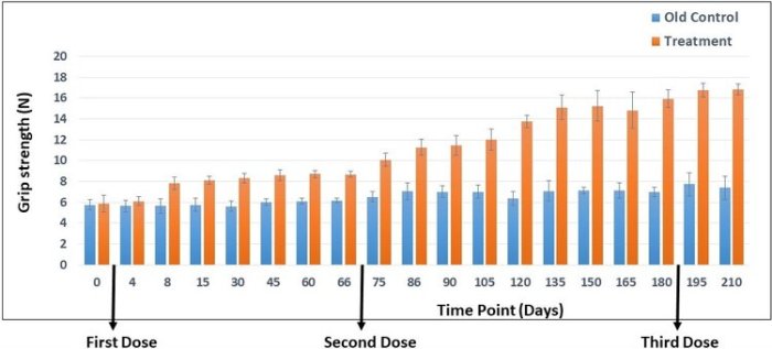 Longevity+study+(02.09.2021)-modificado-2