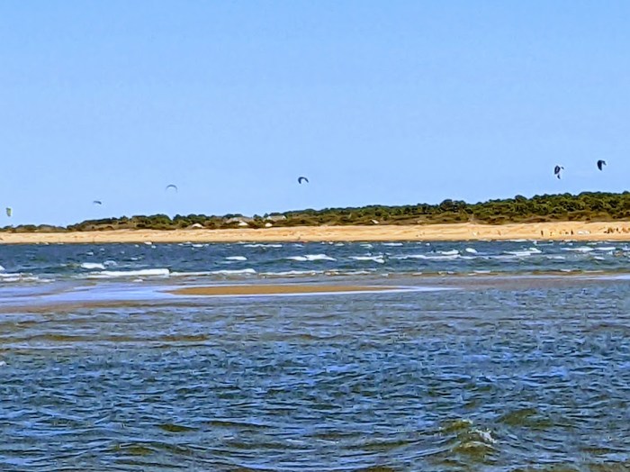 PXL_20220401_193452029