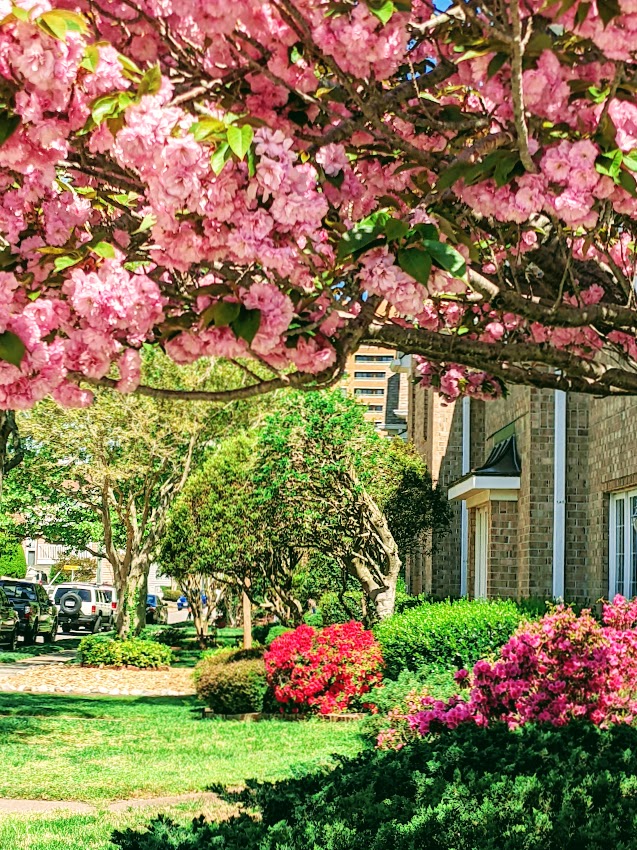 PXL_20220415_184720157