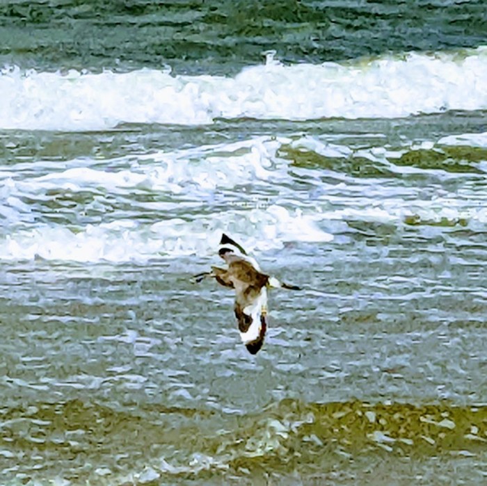 PXL_20220419_190655701