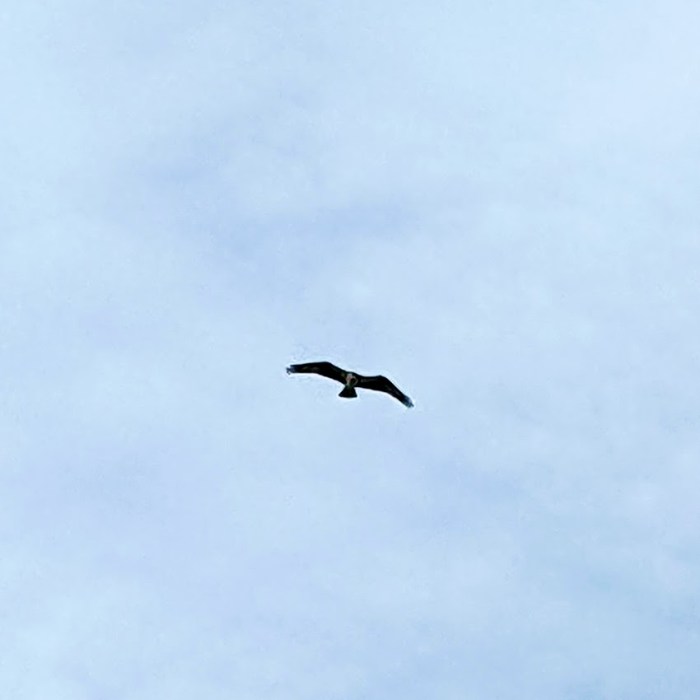 PXL_20220421_190224864