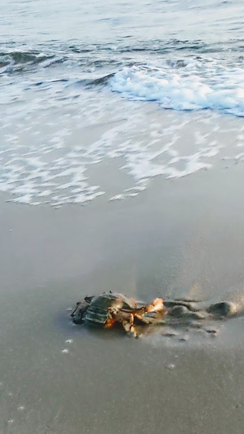 PXL_20220821_100628500_exported_14982