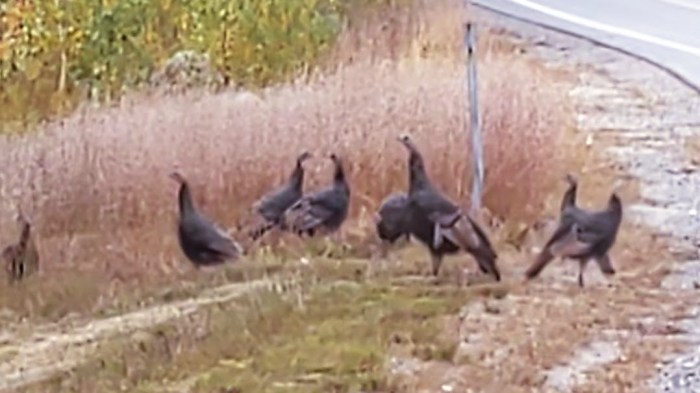 PXL_20221002_203139302_exported_8128