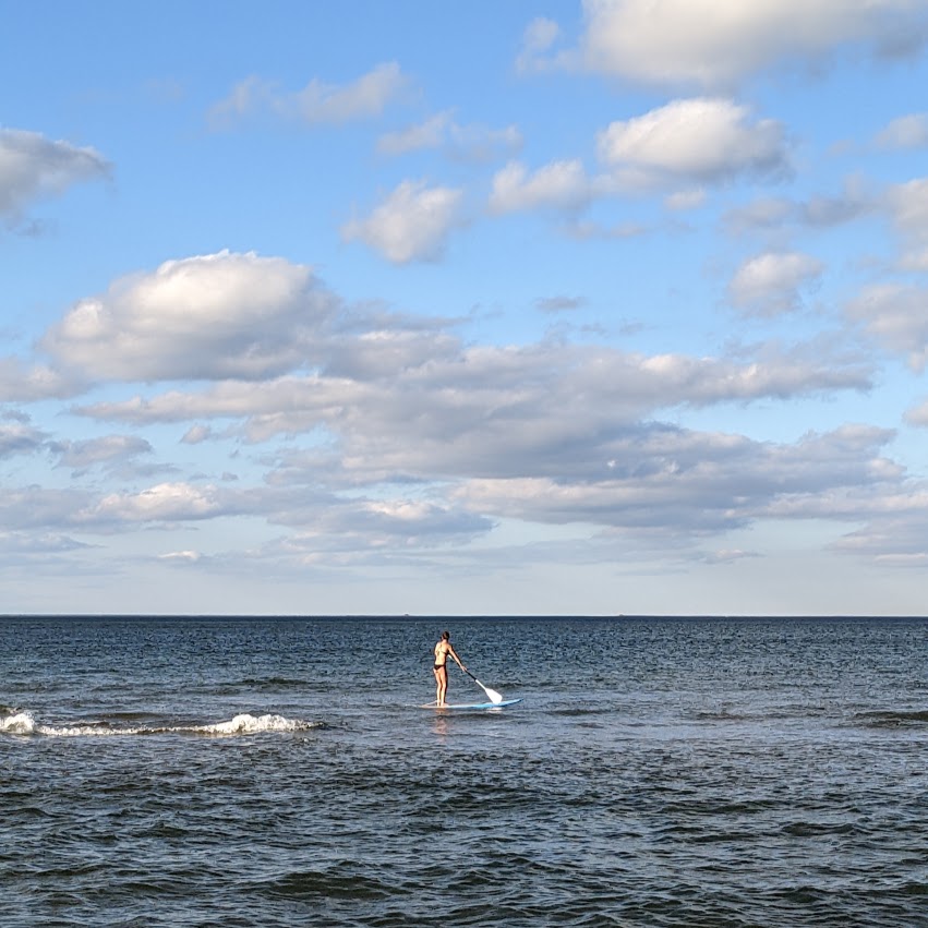 Do broccoli sprouts treat gout and kidney stones? Surface Your Real Self