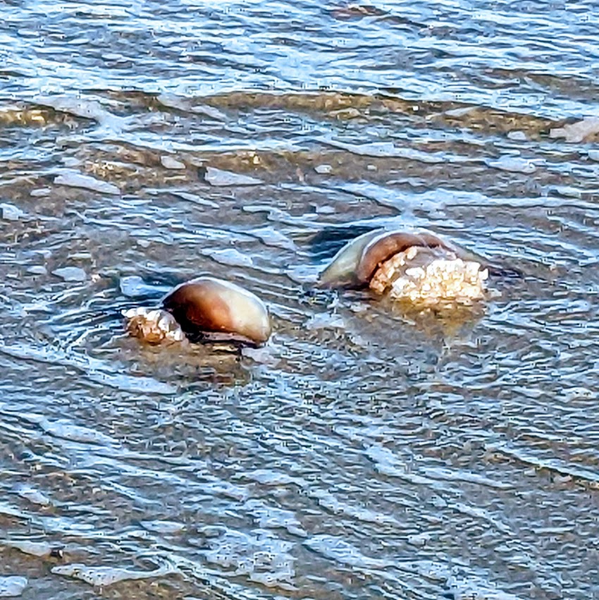 PXL_20221122_200643133