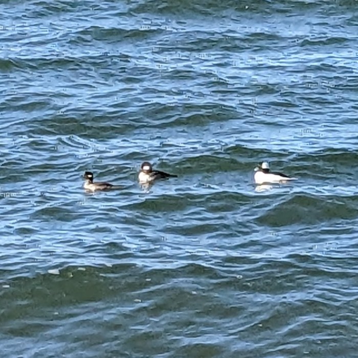 PXL_20221210_191511270