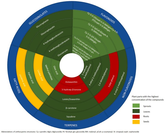 1-s2.0-S0924224421003058-gr3_lrg