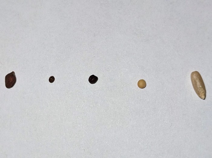 PXL_20230106_121548495