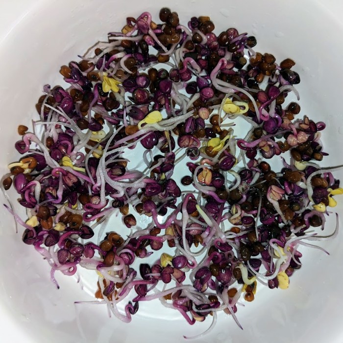 PXL_20230109_121815772