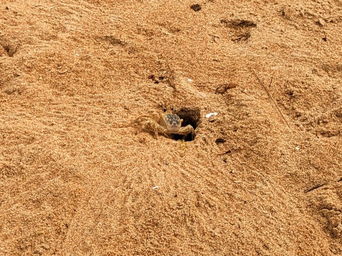 PXL_20230515_185958612