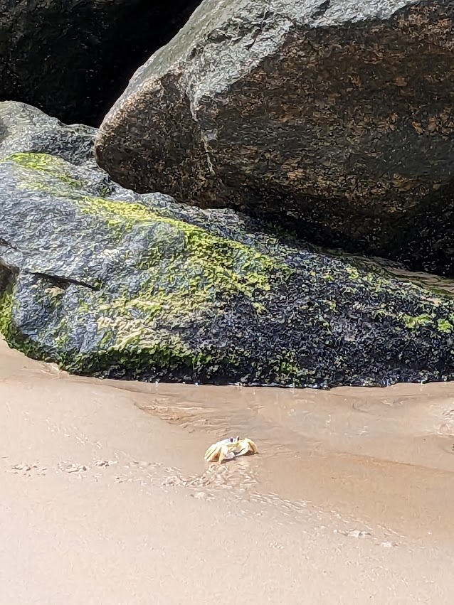 PXL_20230520_182543000.MP