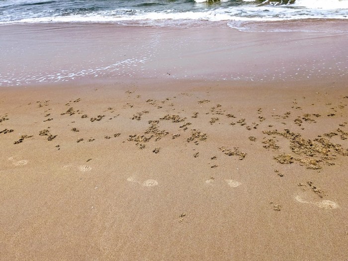 PXL_20230520_183122738