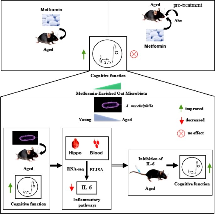 40168_2023_1567_Figa_HTML