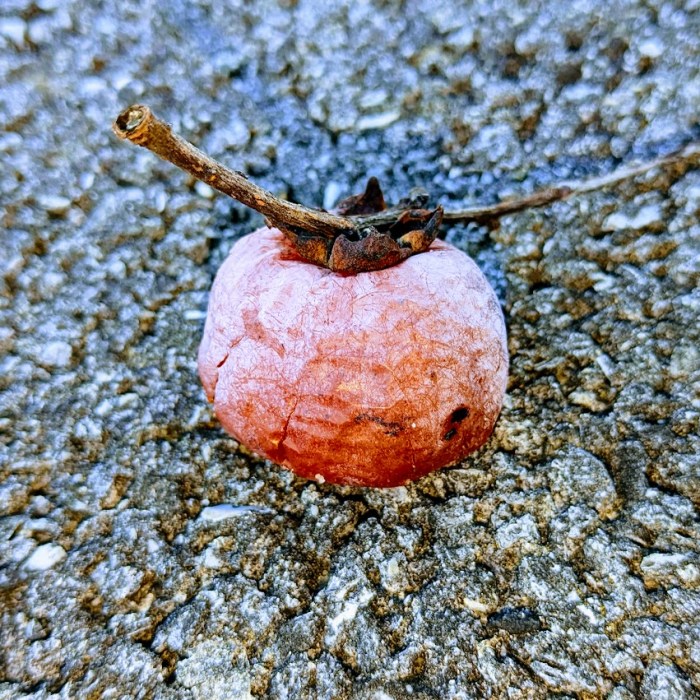 PXL_20231123_203116268