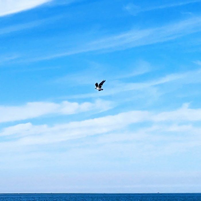 PXL_20231130_190421232.MP