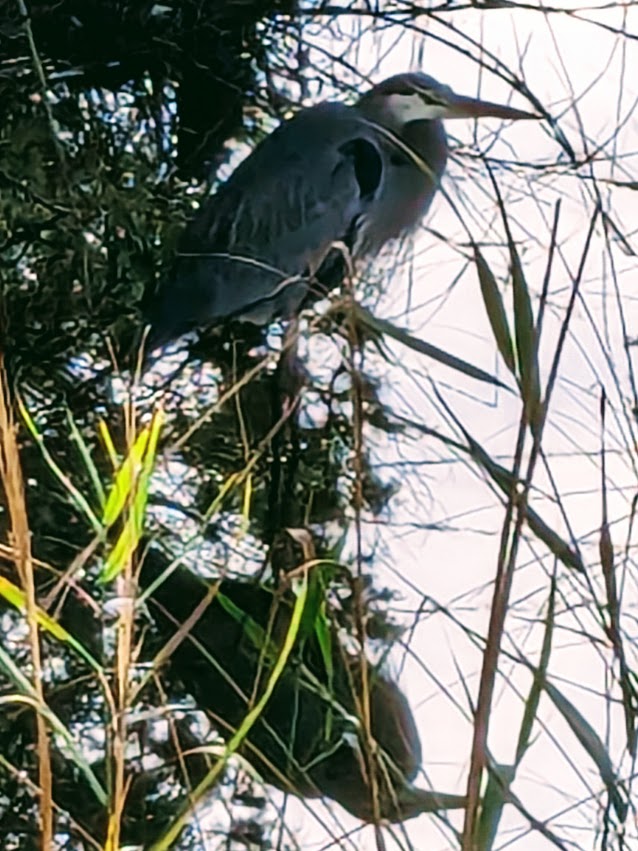 PXL_20231223_175628957