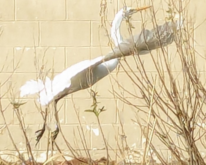 PXL_20240103_191340418