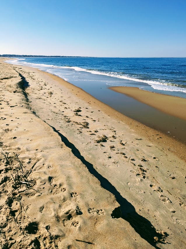 PXL_20240201_185720719