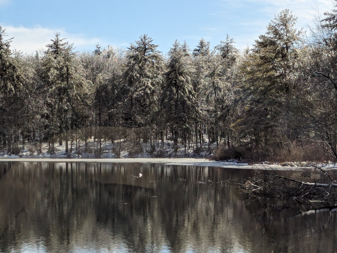 PXL_20240324_194323168