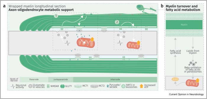 1-s2.0-S0959438823001071-gr2_lrg