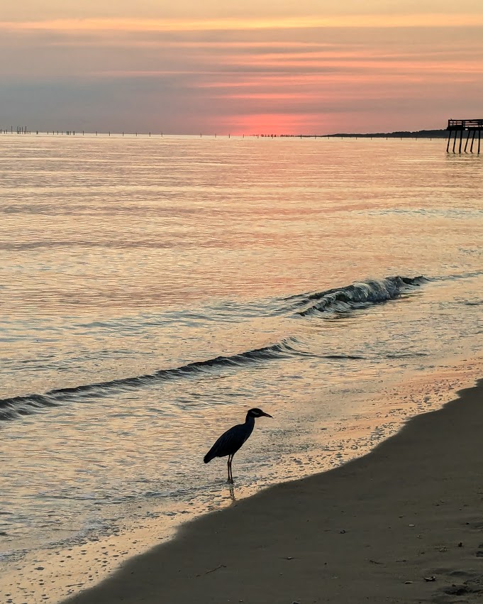 PXL_20240618_094022451