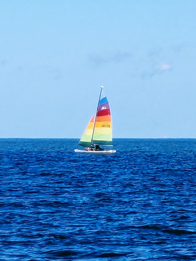 PXL_20241006_161510628