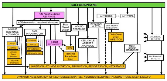 applsci-15-00522-g001-550